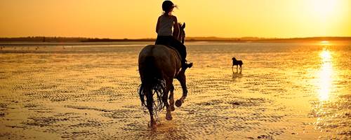6 of the best locations to explore on horseback