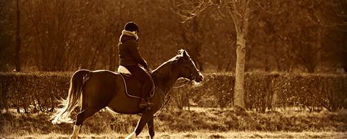 Top tips for horse riding if you are over 50