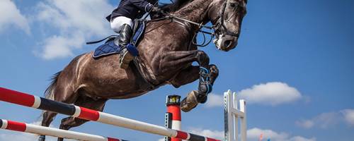 Best UK horse shows to visit in 2020