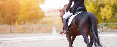 How to get your confidence back after a horse riding accident
