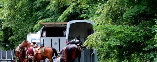 Common causes of horse trailer accidents