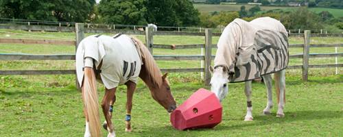 What are turnout boots for horses?