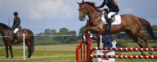 Top tips for improving your horses jumping technique