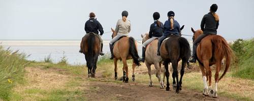 Must-know horse associations in the UK