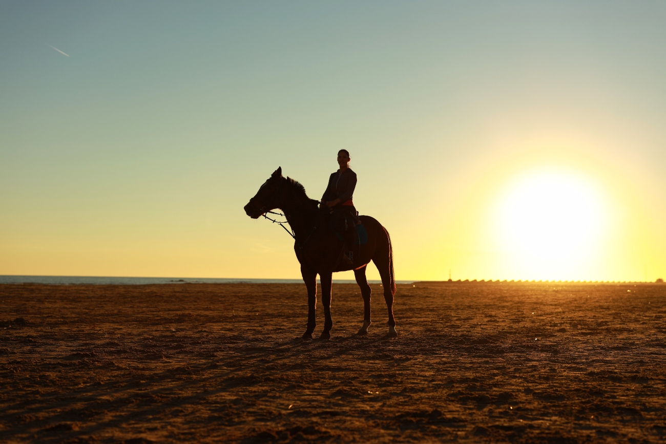 Top tips for riding your horse at night