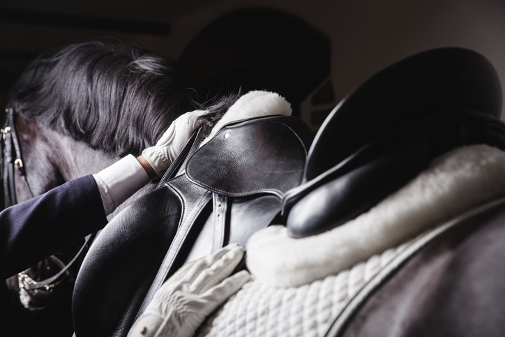 The ultimate guide to equestrian equipment