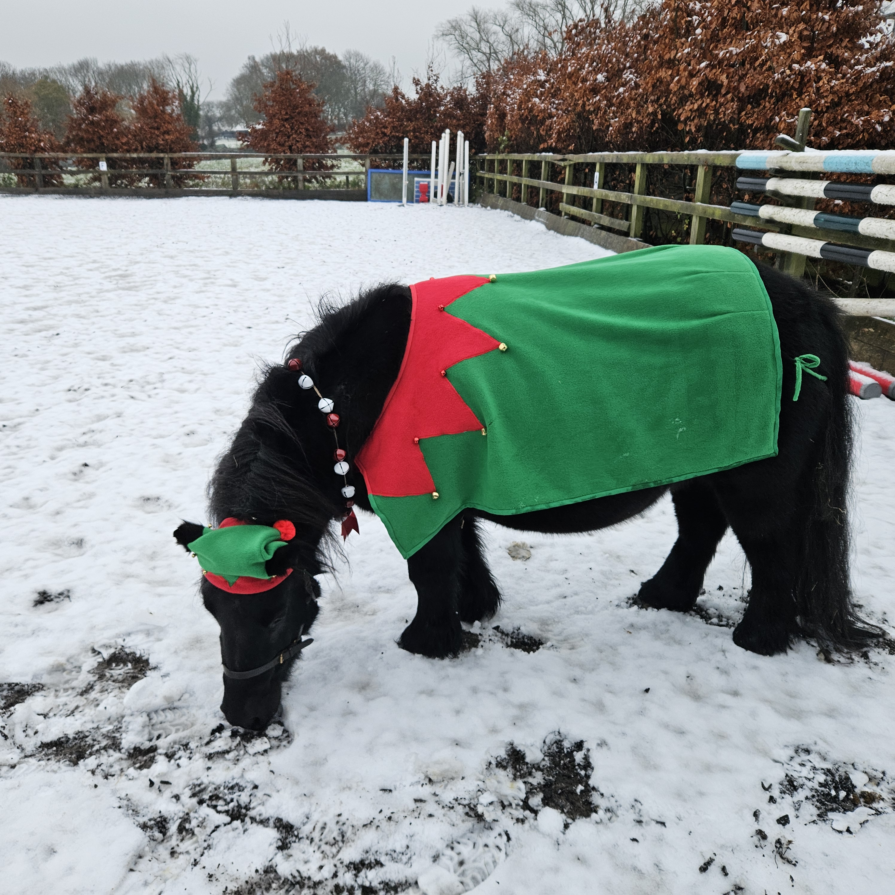 Horse best sale elf costume