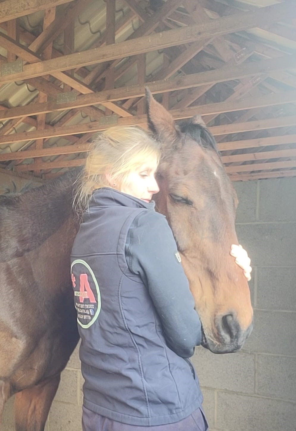 Horse