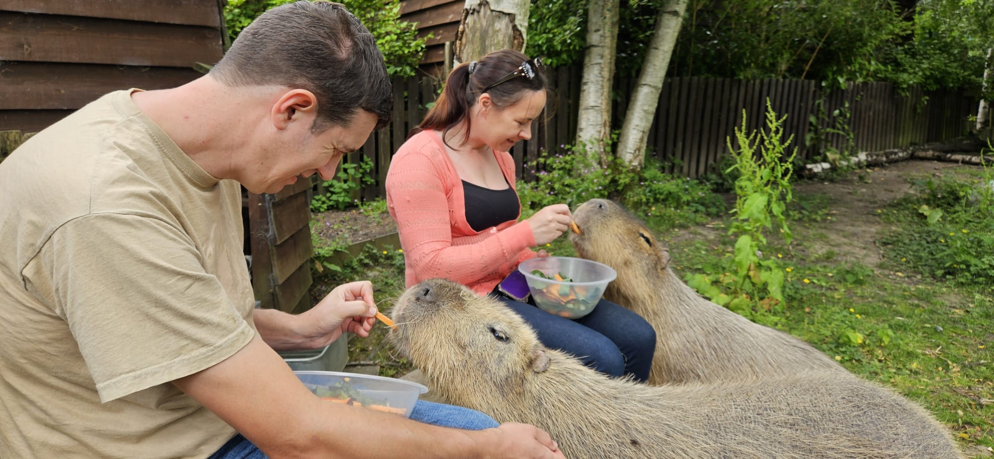 Feeding Capybaras