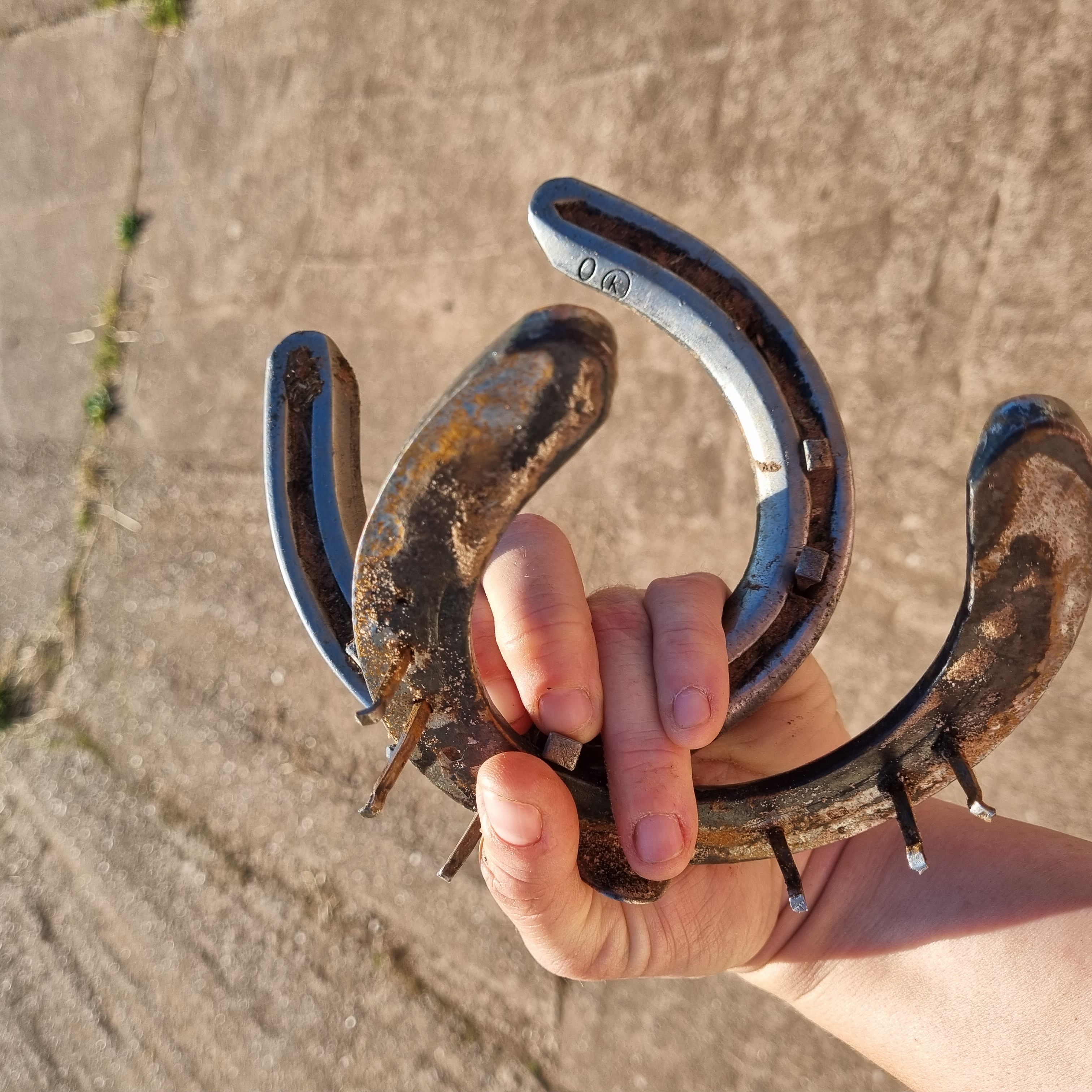 Horseshoes