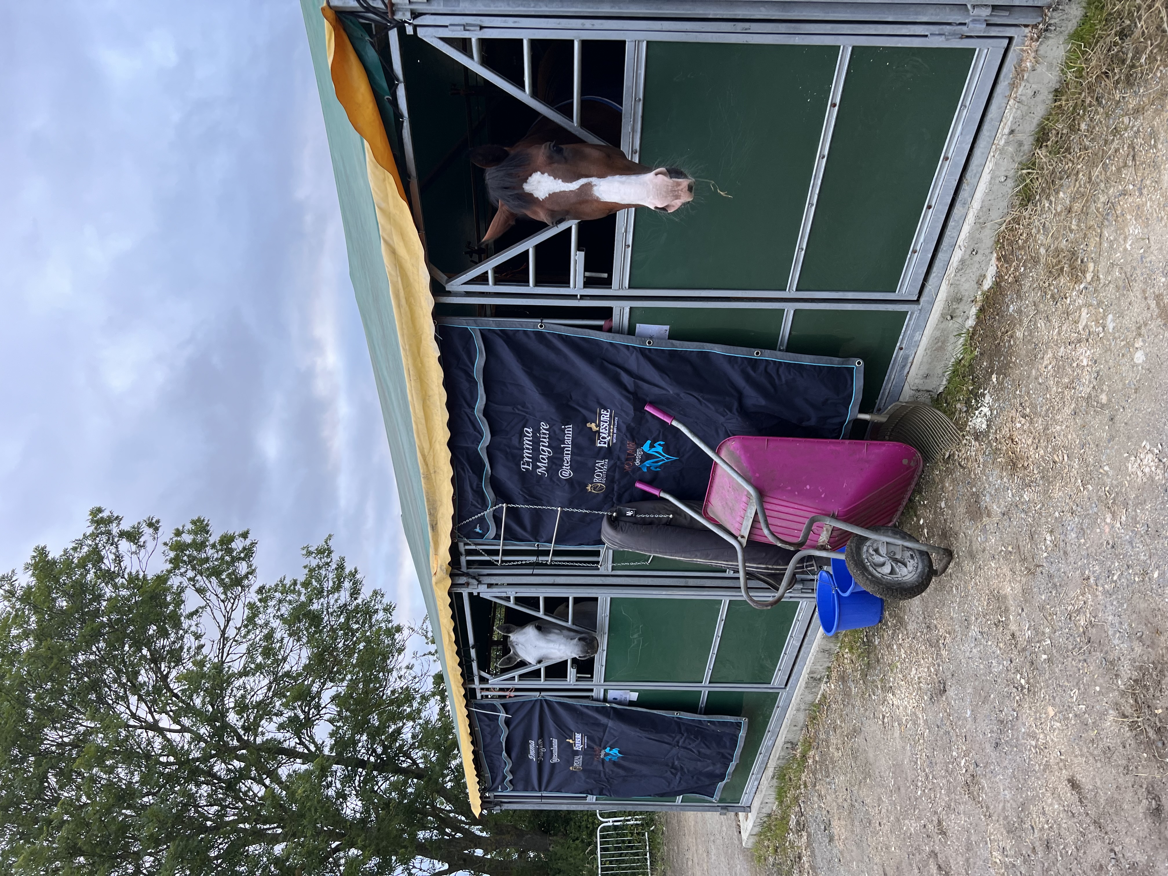 Emma’s blog – He does it again…